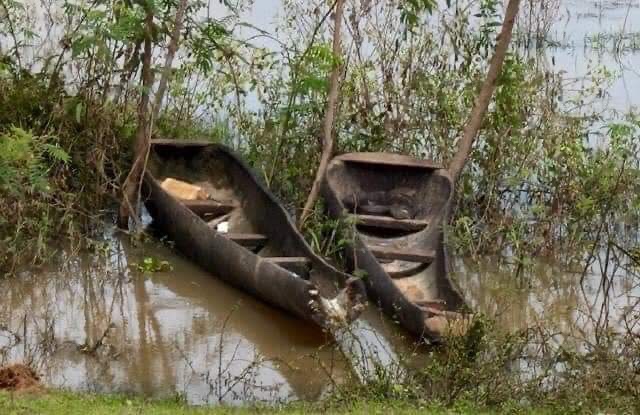 Boat made from Palm Tree